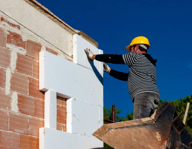 Best Residential Insulation in Roanoke, AL