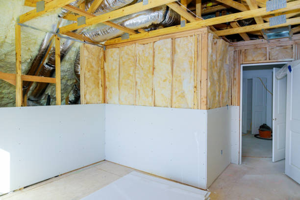 Best Insulation Maintenance and Repair in Roanoke, AL