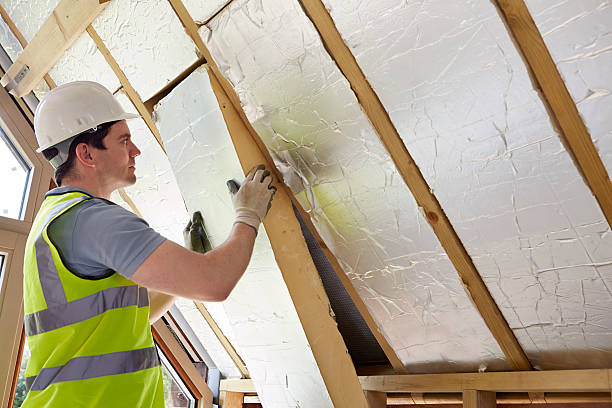 Best Spray Foam Insulation in Roanoke, AL