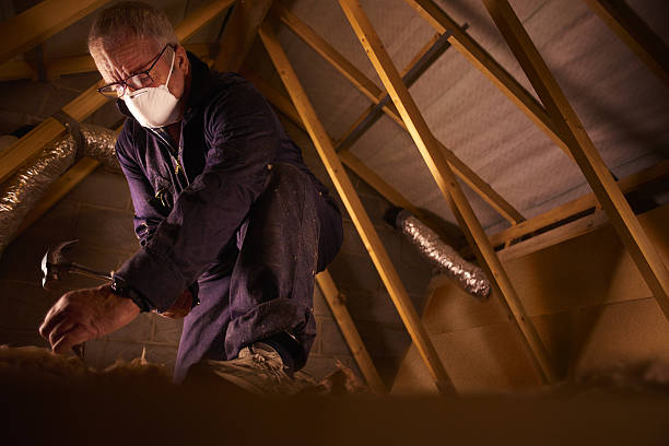 Best Eco-Friendly Insulation in Roanoke, AL