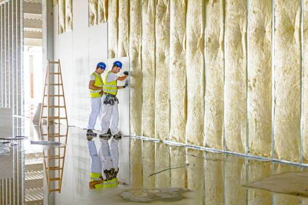 Reliable Roanoke, AL Insulation Contractor Solutions
